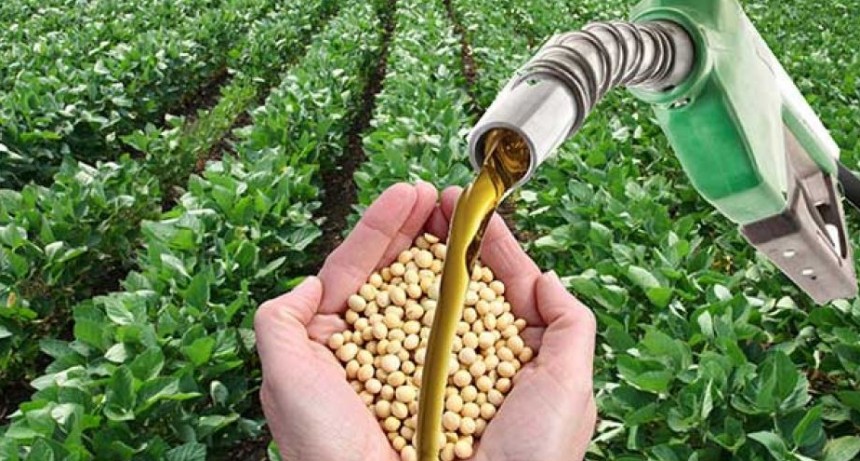  Inminente cierre de las exportaciones de Biodisel de Soja a a la UE