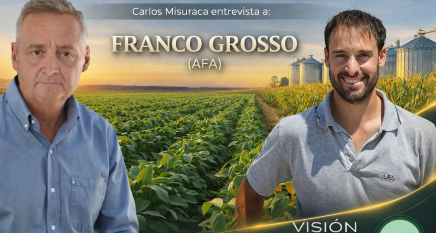 El girasol vuelve a jugar en primera