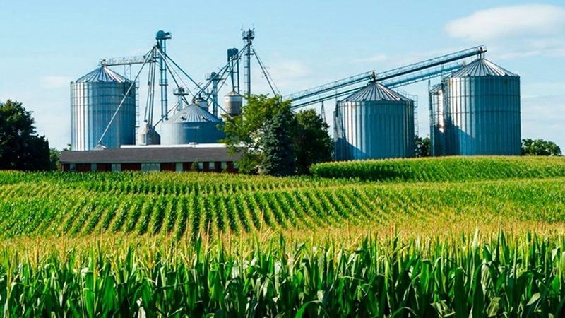 La agroindustria argentina batió récord histórico de procesamiento