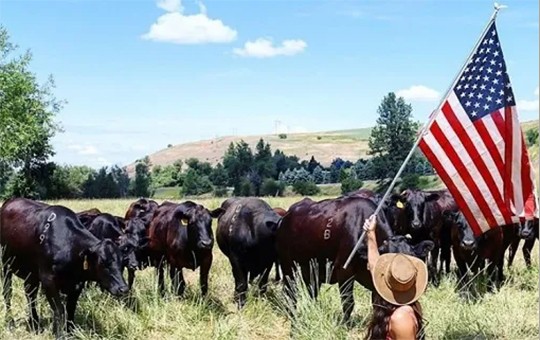 Estados Unidos resiste en China pese a la presión arancelaria