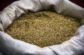 Fin del control sobre la yerba mate en Argentina