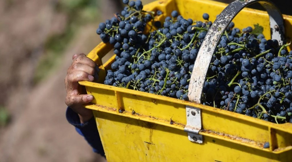INTA y cooperativas, unidos por el futuro rural.