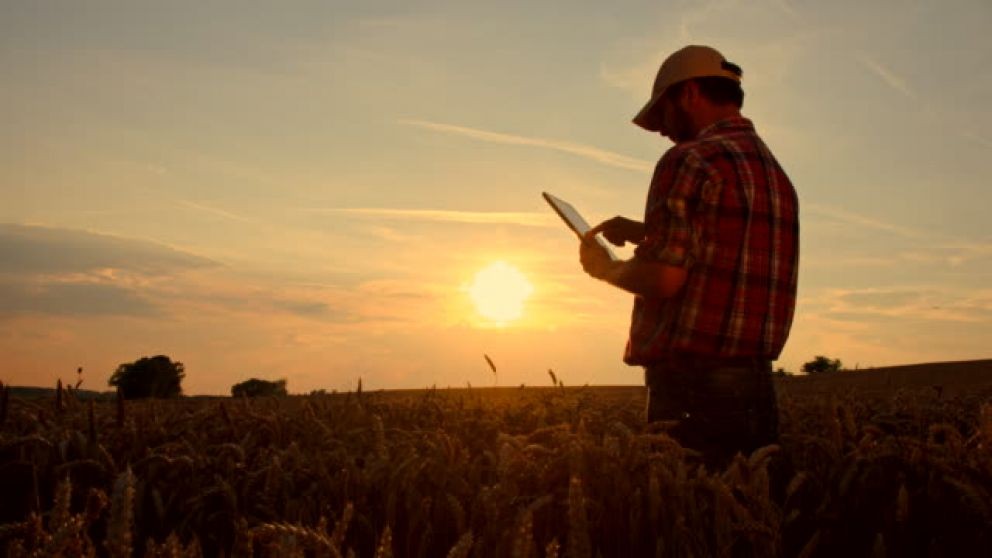 La confianza en el campo sigue en caída y crece la incertidumbre