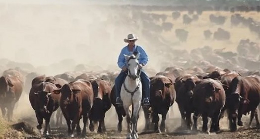 Australia sostiene precios firmes en pleno auge de oferta