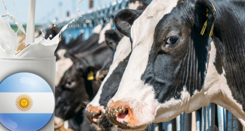 El sector lácteo celebra su mayor ingreso por exportaciones en 12 años.