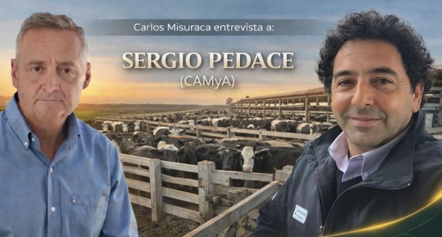 La escasez de livianos reordena los precios