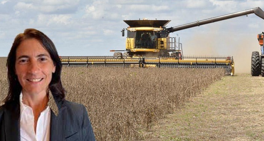 El campo entre la incertidumbre y la oportunidad