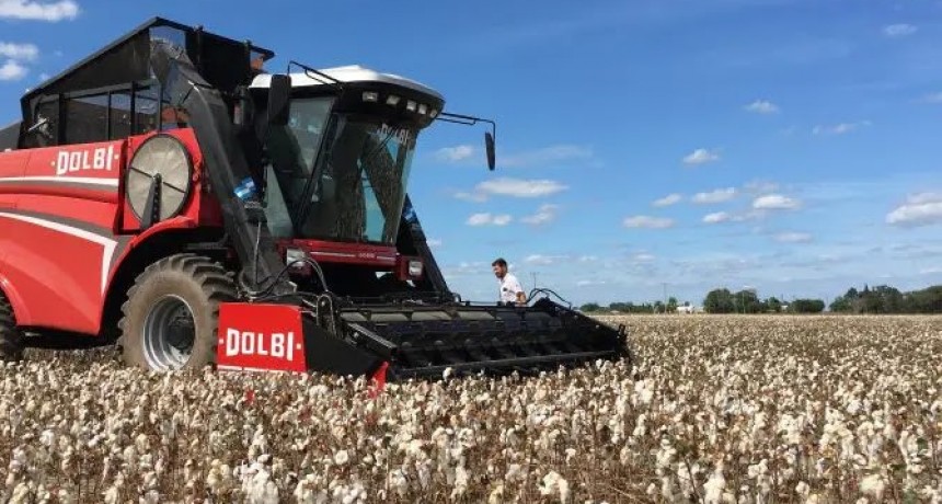 Cosechadoras de fabricación nacional con IA: La nueva generación ya está aquí.