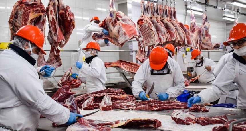 Exportaciones de carne en niveles históricos con precios récord en tres años