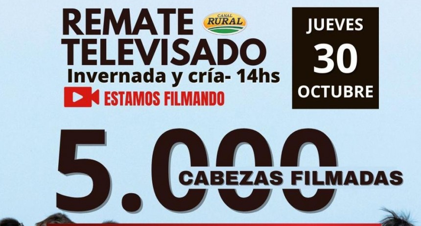 La ganadería vive un momento alentador con precios firmes y demanda sostenida