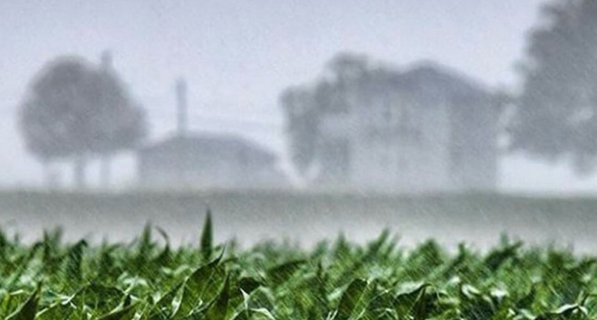 Alertan por lluvias en los sectores norte y este del área agrícola.